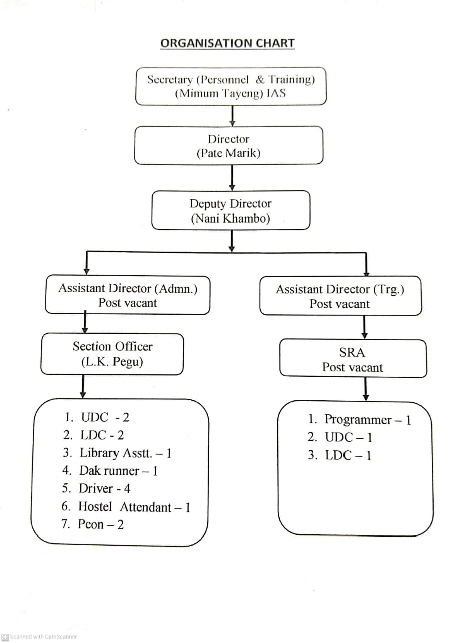 organization chart